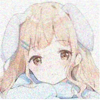 读者头像 旧书页